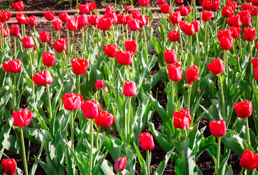 Similar image 21287612