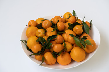 Similar image 21287767