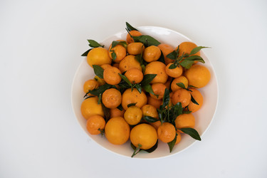 Similar image 21287769