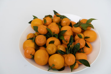 Similar image 21287770