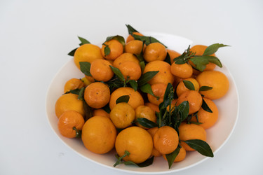 Similar image 21287771