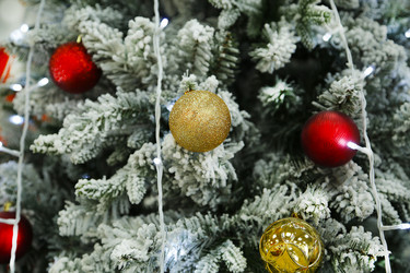 Similar image 21287796