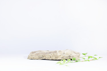 Similar image 21290613