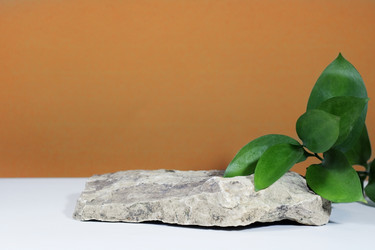 Similar image 21290615