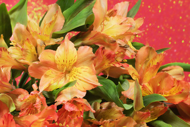 Similar image 21290618