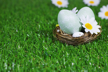 Similar image 21290636