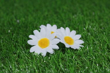 Similar image 21290637