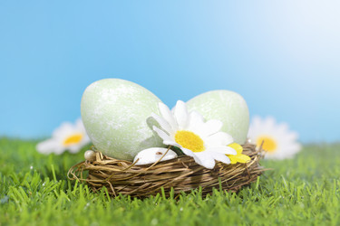 Similar image 21290648