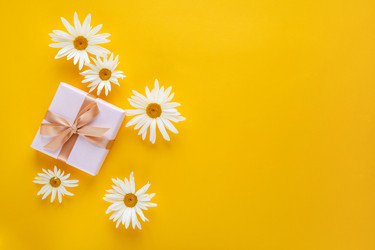 Similar image 21290853