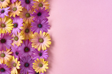 Similar image 21290877