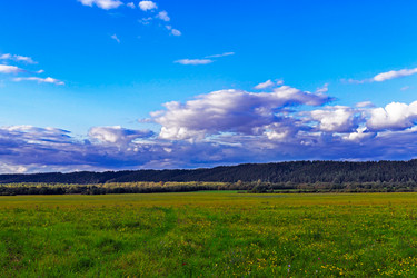 Similar image 21290886