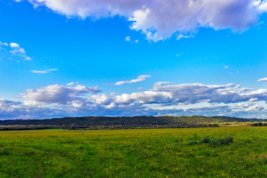 Similar image 21290890