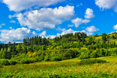 Similar image 21290897