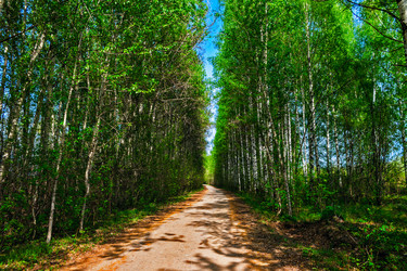 Similar image 21290898