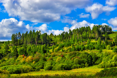 Similar image 21290900