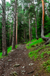 Similar image 21290908