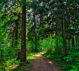 Similar image 21290914