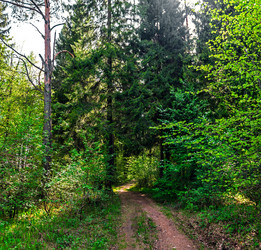 Similar image 21290916