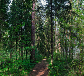 Similar image 21290917