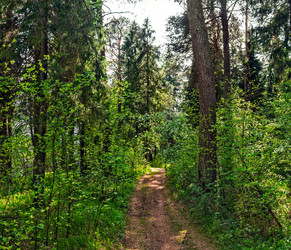 Similar image 21290918