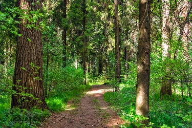 Similar image 21290920