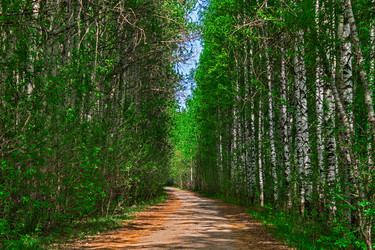 Similar image 21290921