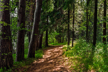 Similar image 21290922