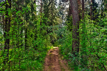 Similar image 21290924