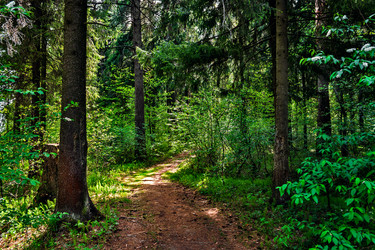 Similar image 21290925