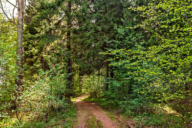 Similar image 21290928