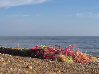 Similar image 21289247