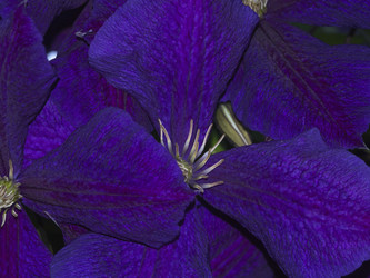 Similar image 21289249