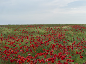 Similar image 21289253