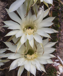 Similar image 21289254