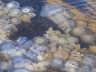 Similar image 21289255