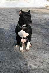 Similar image 21289262