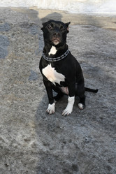 Similar image 21289263