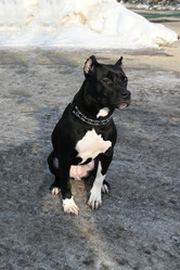 Similar image 21289264