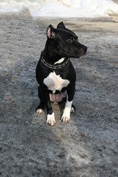 Similar image 21289265