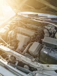 Similar image 21290484