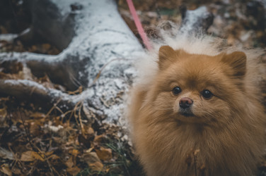 Similar image 21290489