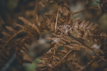 Similar image 21290524