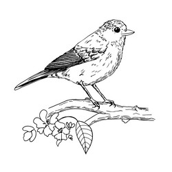 Similar image 21291027