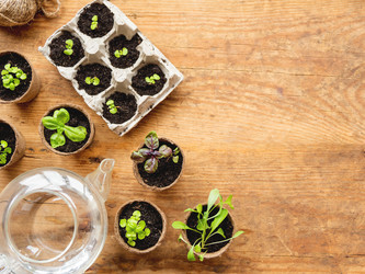 Similar image 21289136