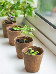 Similar image 21289726