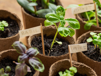 Similar image 21289142