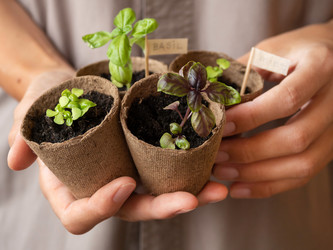 Similar image 21289728