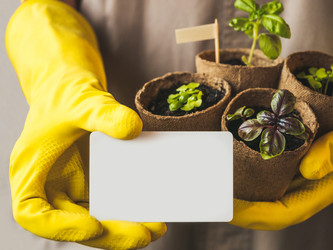 Similar image 21289729