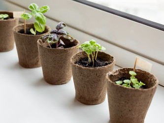 Similar image 21289145