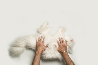 Similar image 21289746